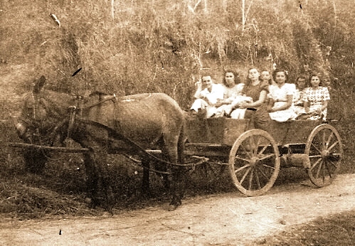 Nova Trento - Abílio Darós e amigas indo al fero nella messa