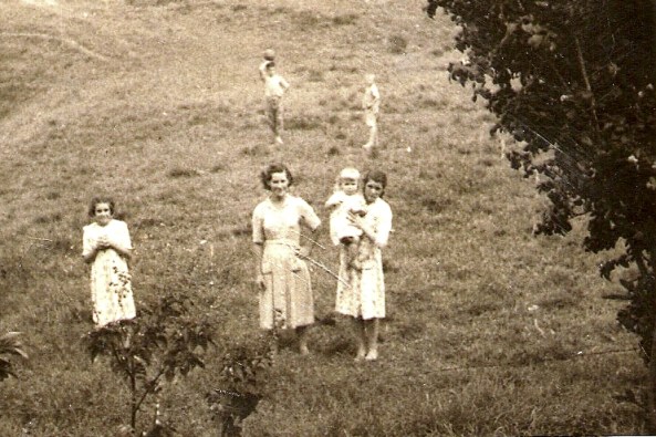 Nova Trento - Darós e smaniotto