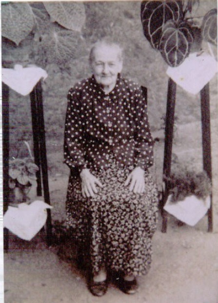 Ada Gulini Voltolini