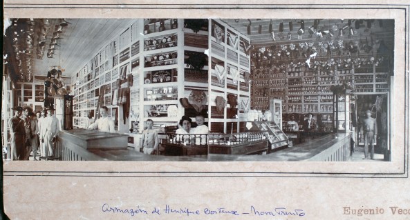 Nova Trento Boitex Galloti