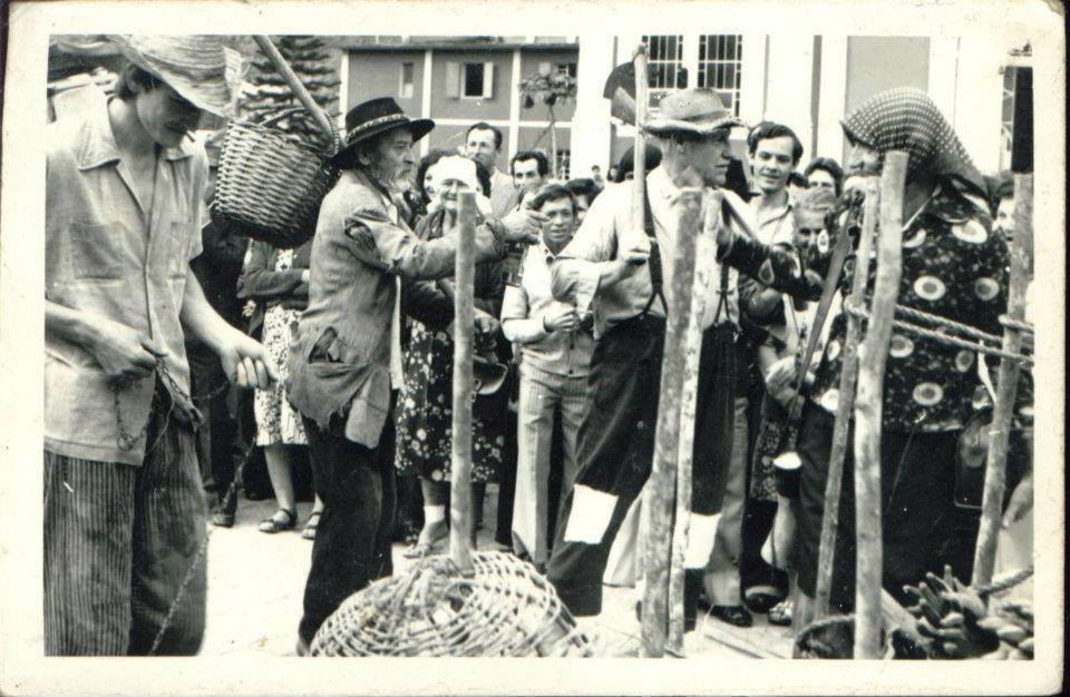 14102239_1677249462594002_1651167730795785695_n[1]