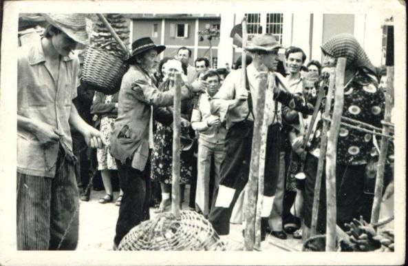 14102239_1677249462594002_1651167730795785695_n[1]