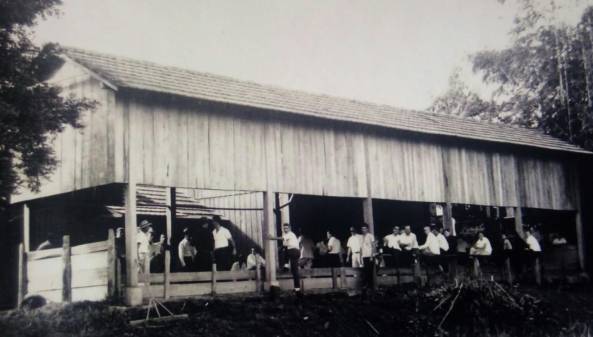 67847854_666796510456723_7886896639472828416_o