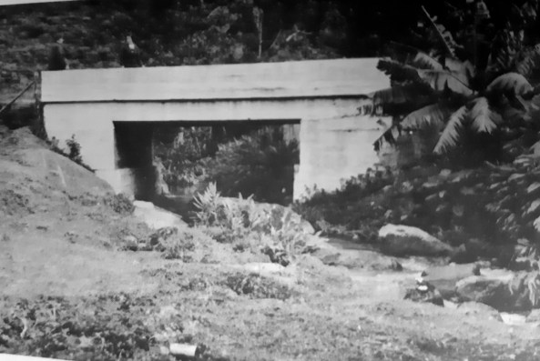 thumbnail_20200320_132651