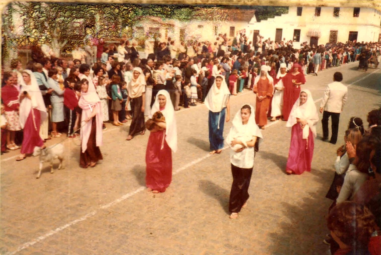 thumbnail_20200614_183849