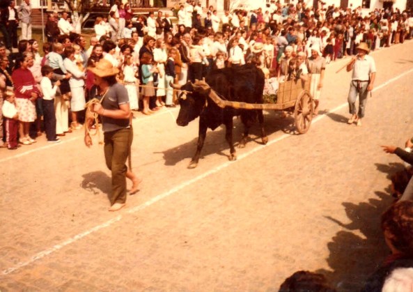 thumbnail_20200614_184123